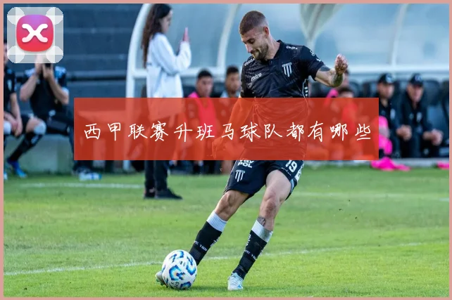 西甲联赛升班马球队都有哪些