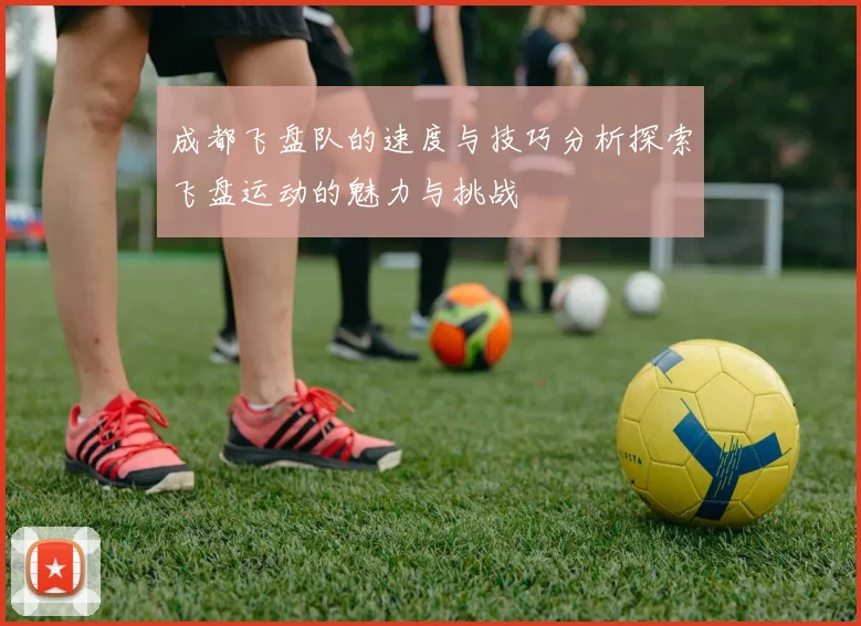 成都飞盘队的速度与技巧分析探索飞盘运动的魅力与挑战
