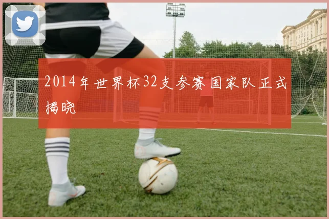 2014年世界杯32支参赛国家队正式揭晓
