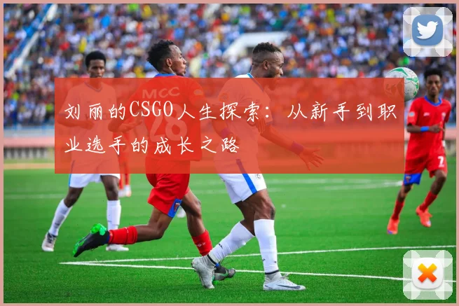 刘丽的CSGO人生探索：从新手到职业选手的成长之路